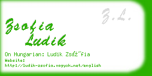 zsofia ludik business card